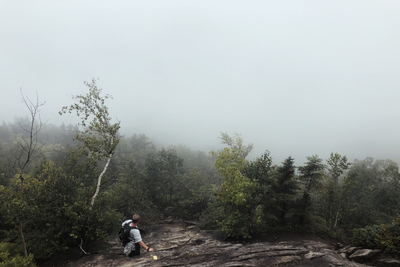 Person climbing mountain - Forum Link